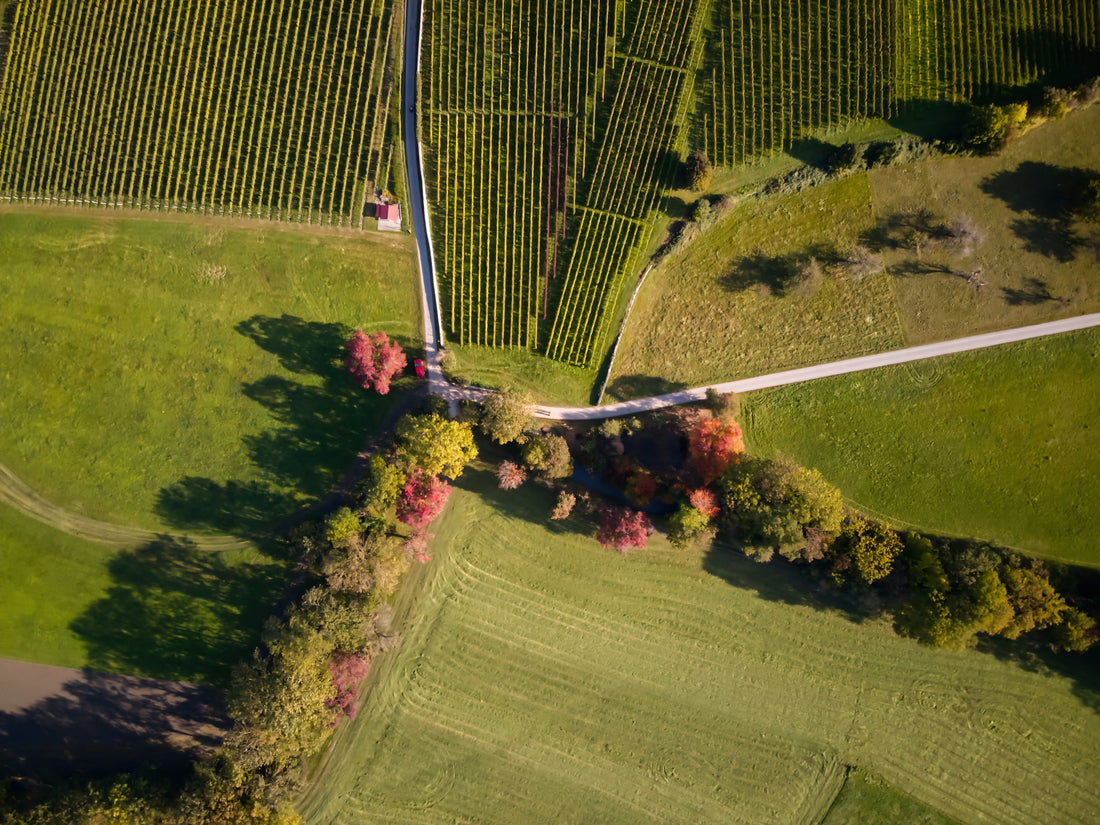 グラウビュンデン州のワインとは？